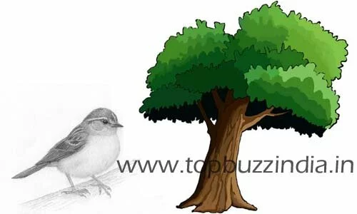 bird-and-tree-motitional-story-image